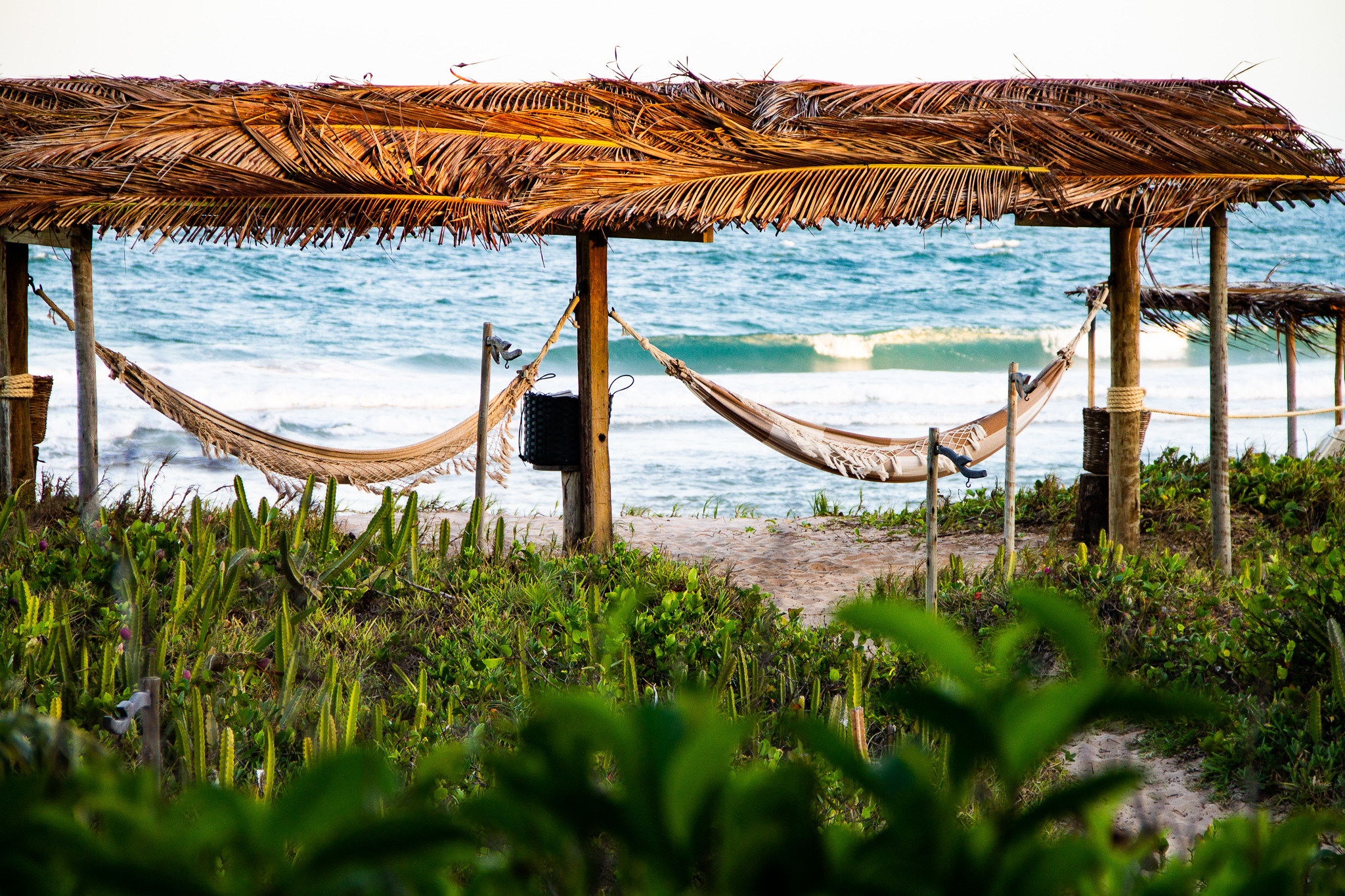 Two hammocks hanging on the beach