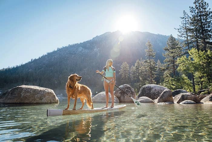 A woman and her dog paddleboarding on Lake Tahoe
