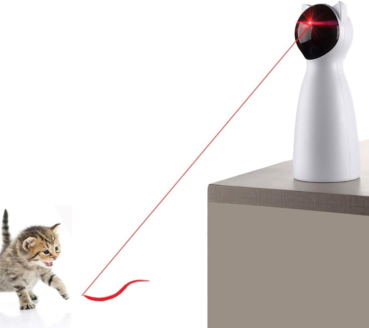 Kitten enjoying the laser pointer toy