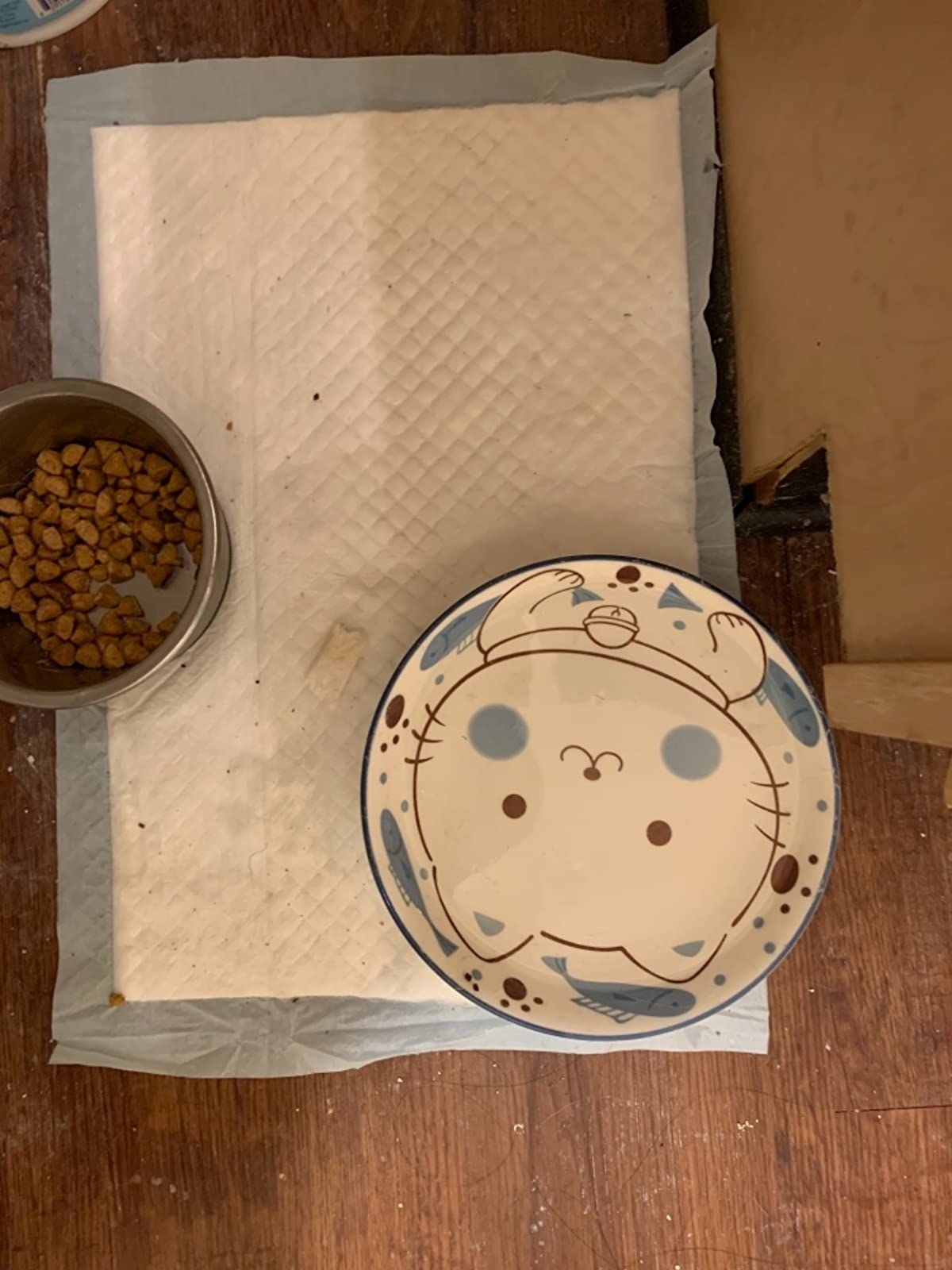 Review photo of the cat litter pad