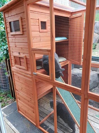 A reviewer photo of the cat patio, which is wooden and open, with mesh covering the top and sides