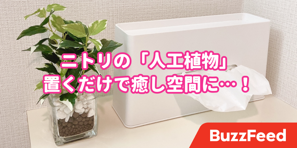 お部屋が癒し空間になった ニトリの フェイク観葉植物 が本物そっくりで超優秀です お部屋が癒し空間になった ニトリの フェイク観葉植物 が本物そっくりで超優秀です