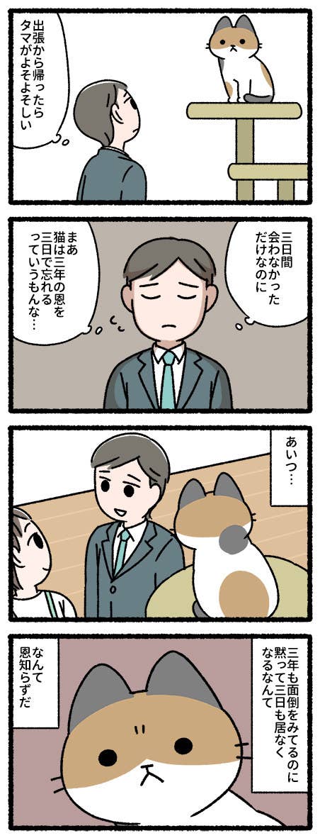 とんでもないものを盗んでいった猫の4コマ漫画 描かれた結末に大きな反響