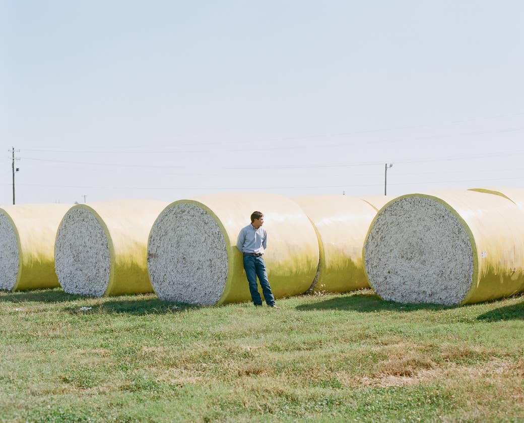 A man stands next to bales of cotton in a field