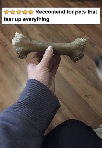 reviewer holding their chewed up bone with five-star review 