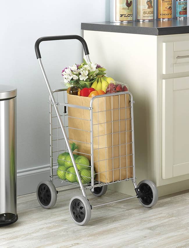 Metal cart with groceries inside 