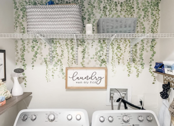 Reviewer vines hanging in laundromat