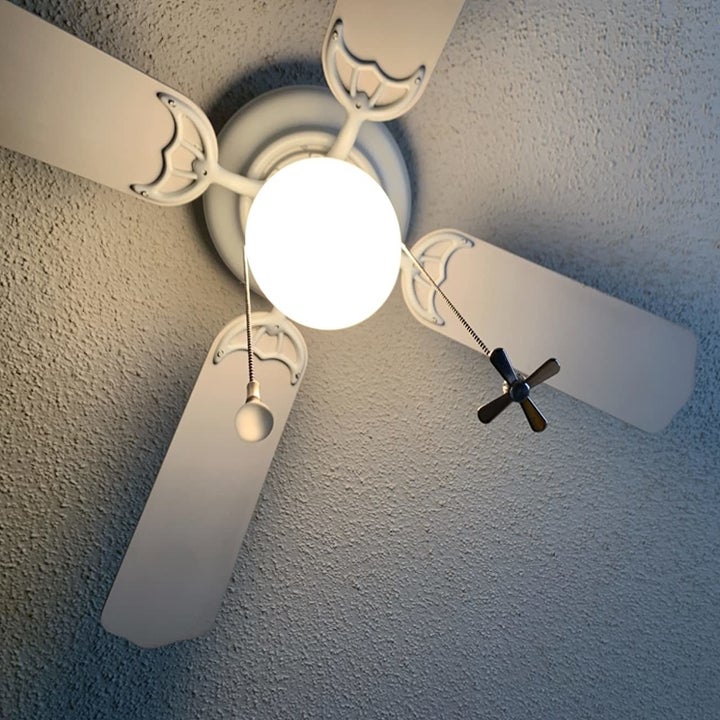 ceiling fan with the ball chains attached, one with a lightbulb shaped pull and one with a fan shaped pull