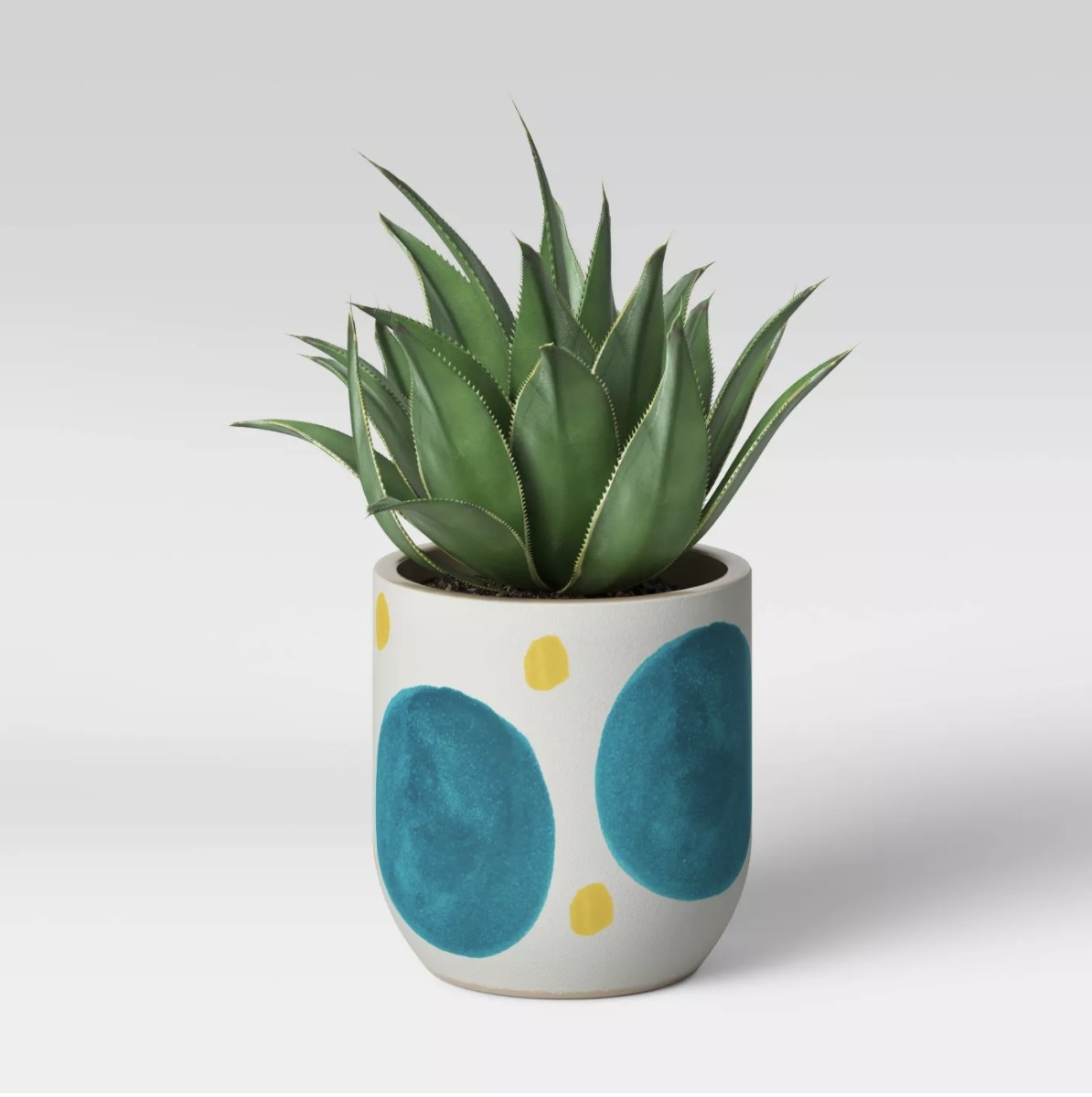 A white ceramic pot with large blue ovals and small yellow circles holding a short green plant