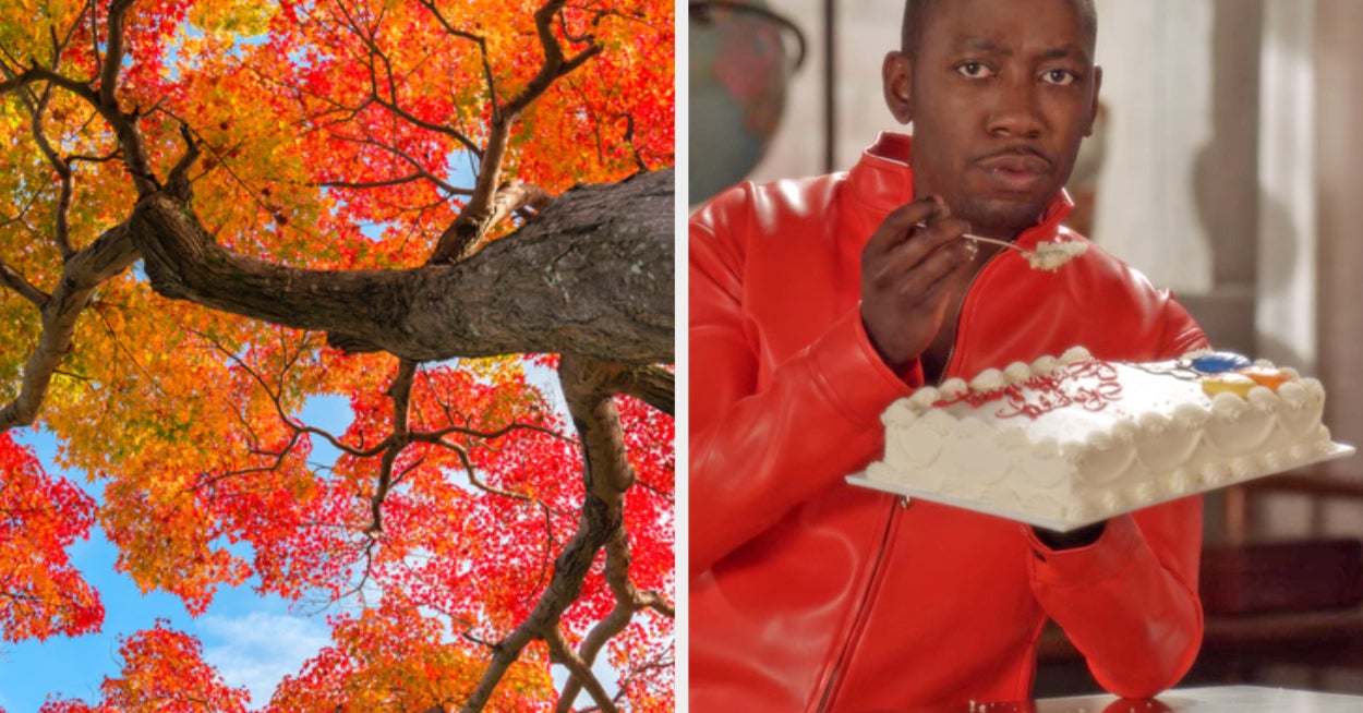Bake A Cake And We'll Guess Your Favorite Season Quiz
