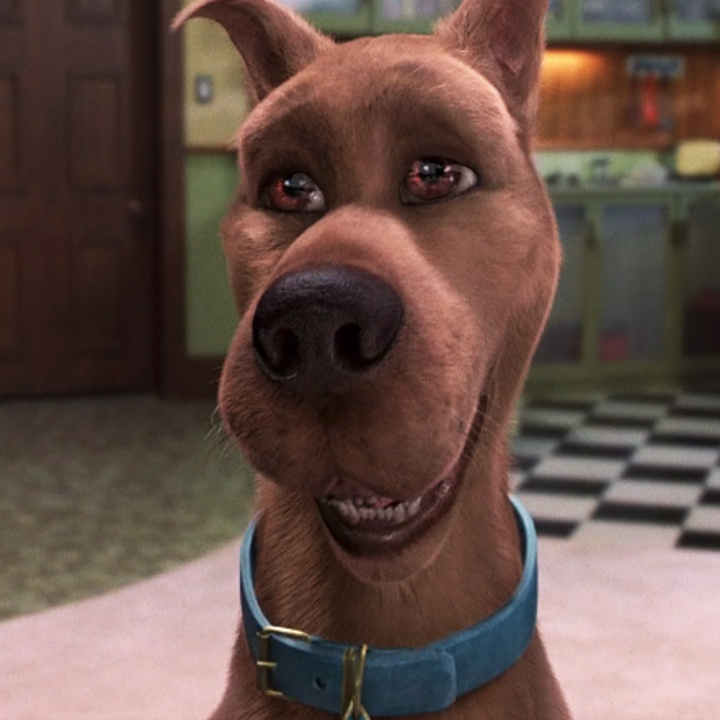 Live Action Scooby Doo Movie Here S What The Cast Looks Like Then Vs