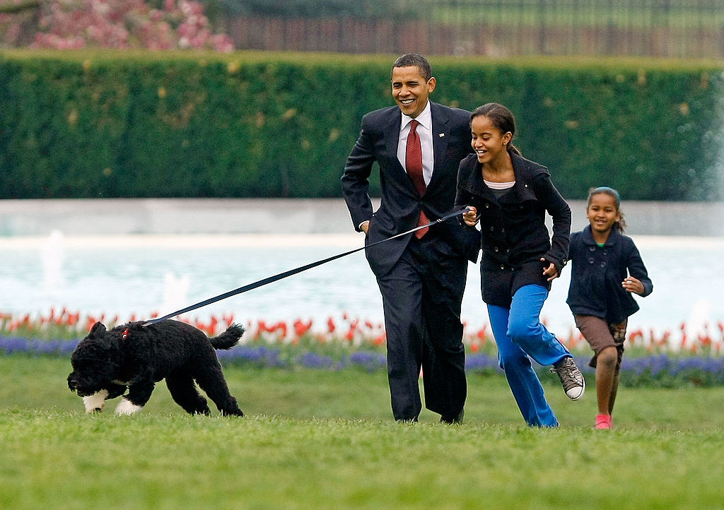 President Obama running with Bo and his daughters Sasha and Malia