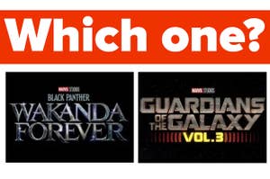 "Which one?" is written on the top with "Wakanda Forever" and "Guardians of the Galaxy" logo
