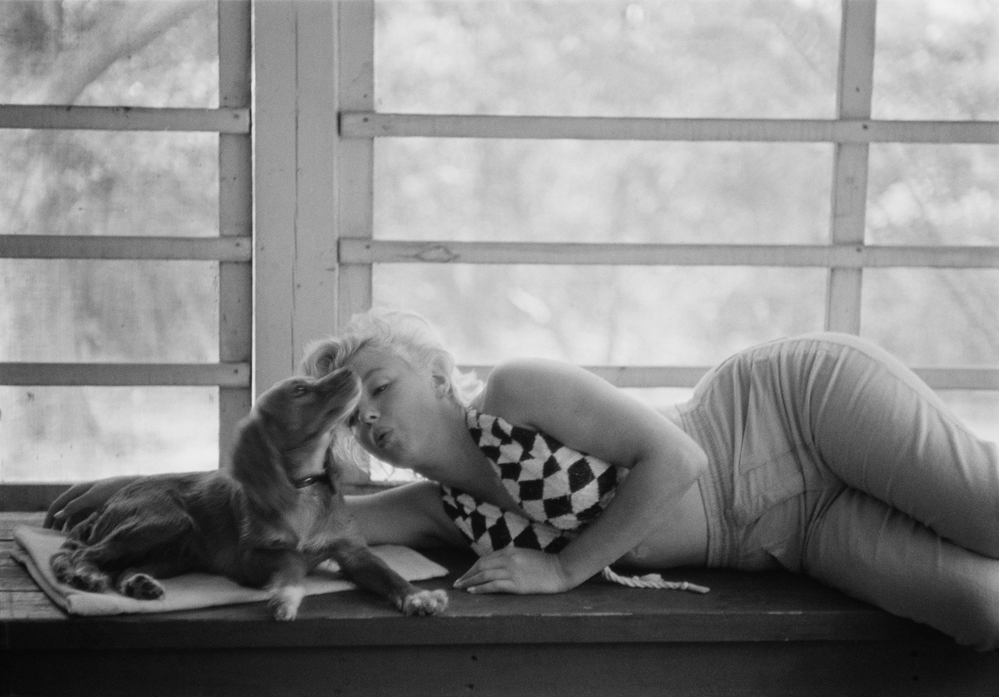 Marilyn Monroe playing with a dog lying next to a window