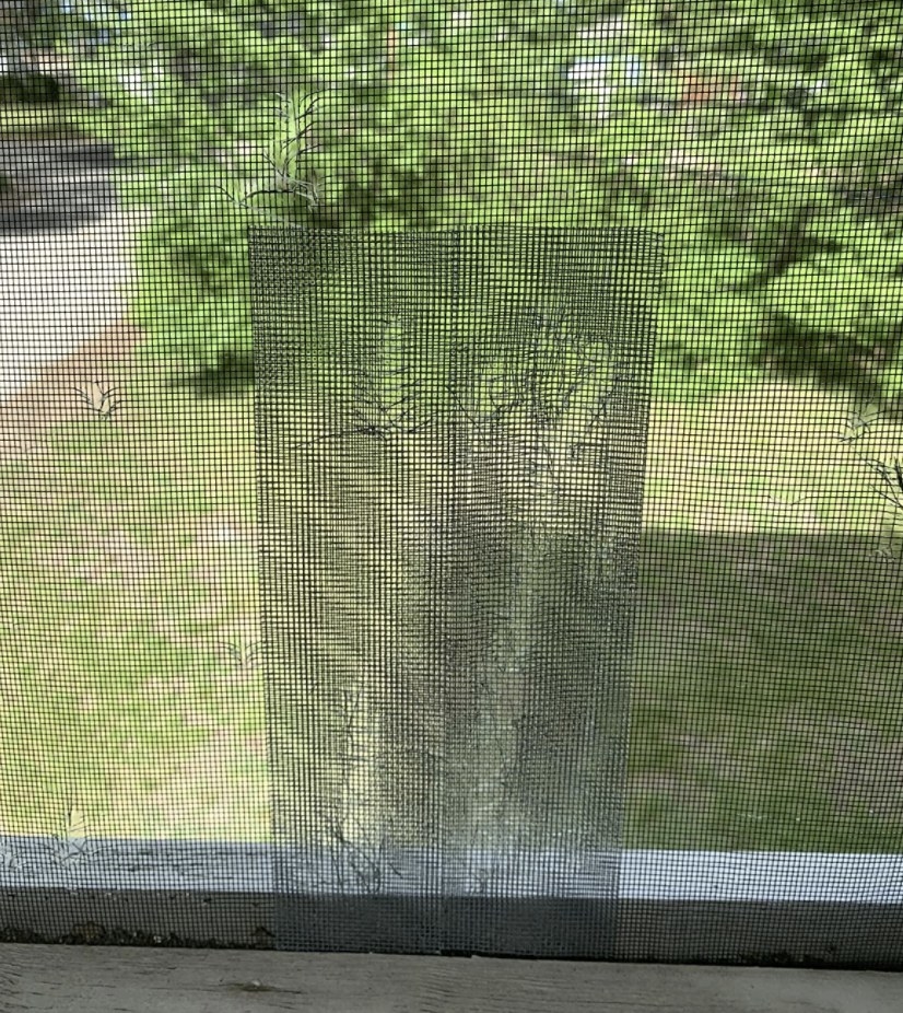 The screen tape on a window