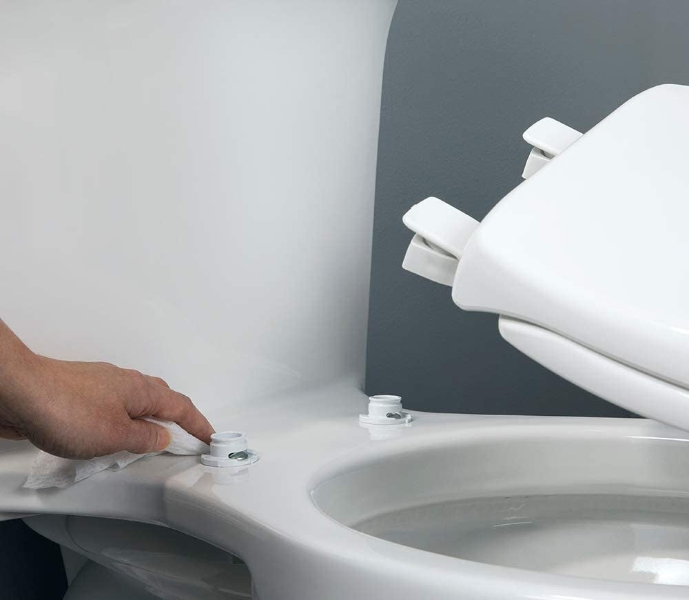 An easy-to-remove toilet seat