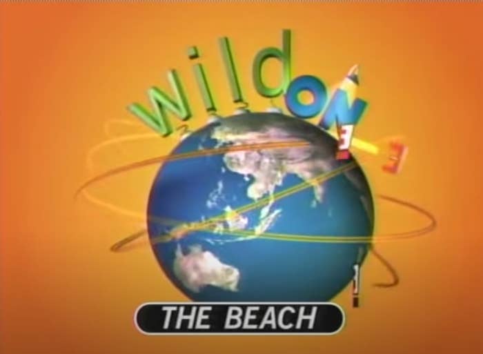 Screenshot of Wild on The Beach logo