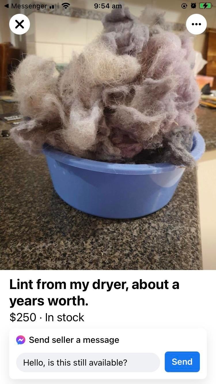 A year&#x27;s worth of dryer lint for $250