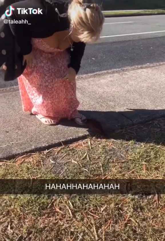 A woman leaning down towards a possum