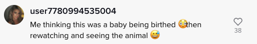 A user saying &quot;Me thinking this was a baby being birthed, then rewatching and seeing the animal&quot;