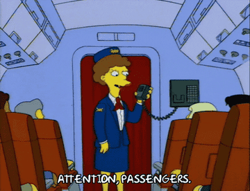 A flight attendant in the Simpsons