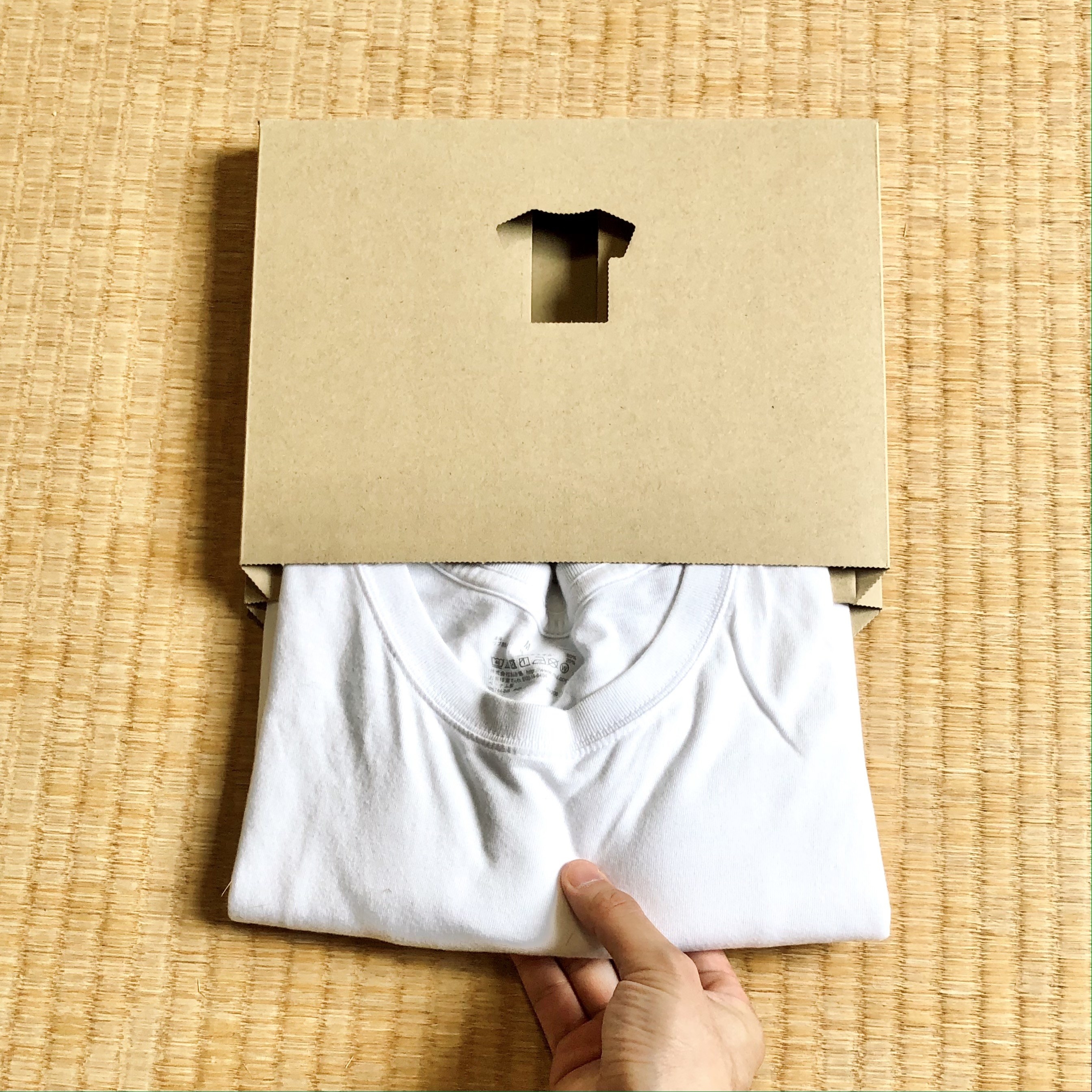 DAISO（ダイソー）の便利グッズ「TATEMU（Tシャツ収納BOX）」洗濯を畳むのが楽になる オススメ