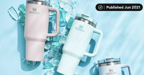 How Stanley, the Thermos for Tough Guys, Became the TikTok Obsession of  Millennial Women