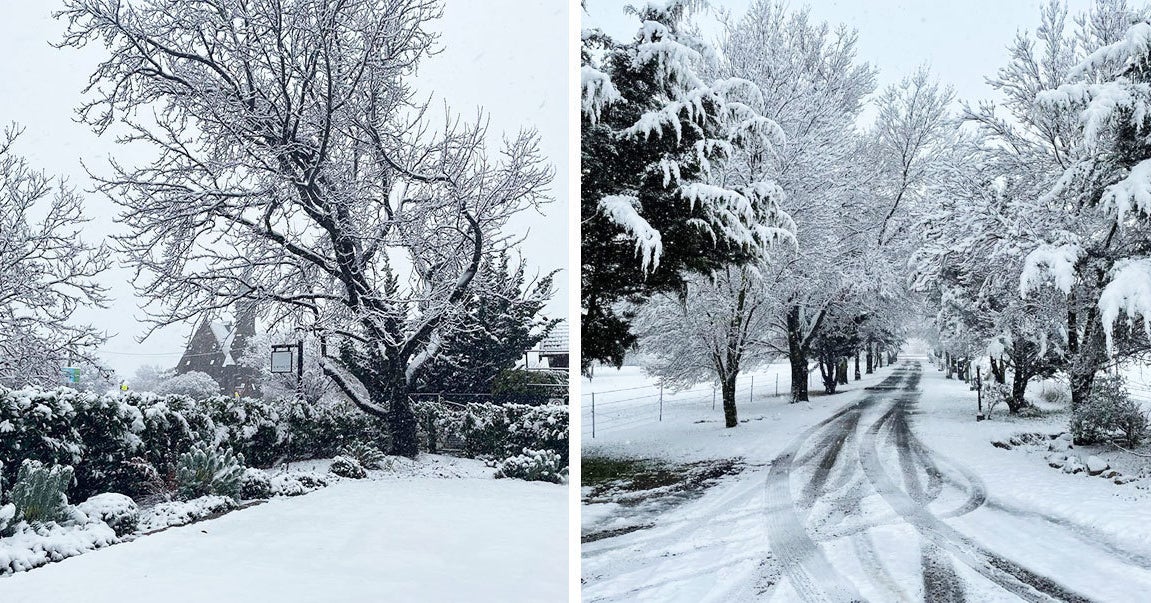 Orange Nsw Snow Photos : Icymi Orange In Nsw Just Had Its Heaviest Snowfall In 30 Years And The Photos Don T Even Look Real