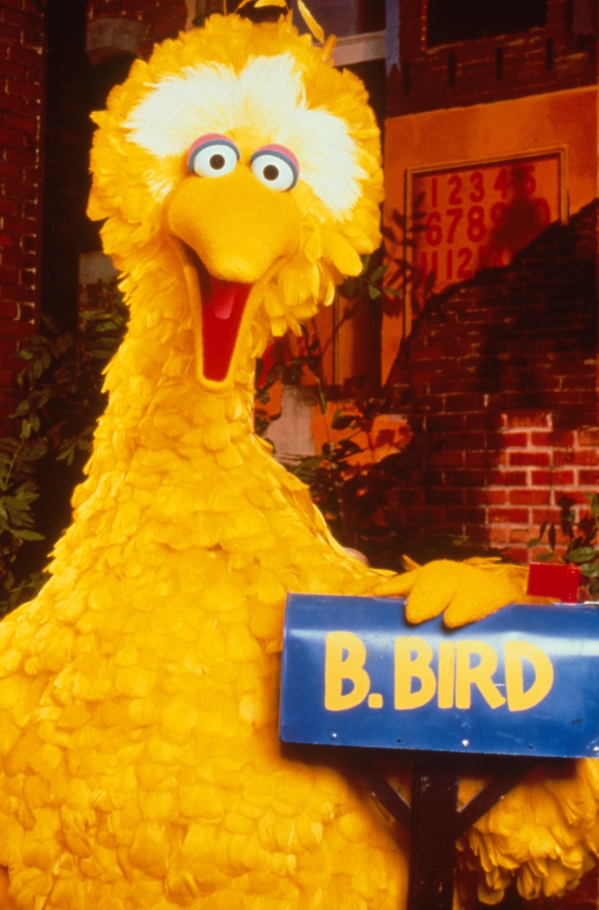 Big Bird posing with his sesame street mailbox