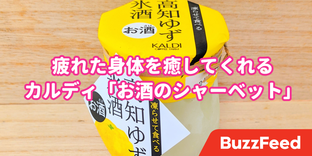 疲れが吹っ飛ぶわ カルディ 大人のシャーベット は一日の癒しにピッタリです