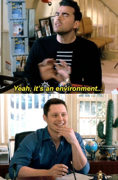 David says &quot;yeah it&#x27;s an environment&quot; while looking vague and Patrick looks at him smiling