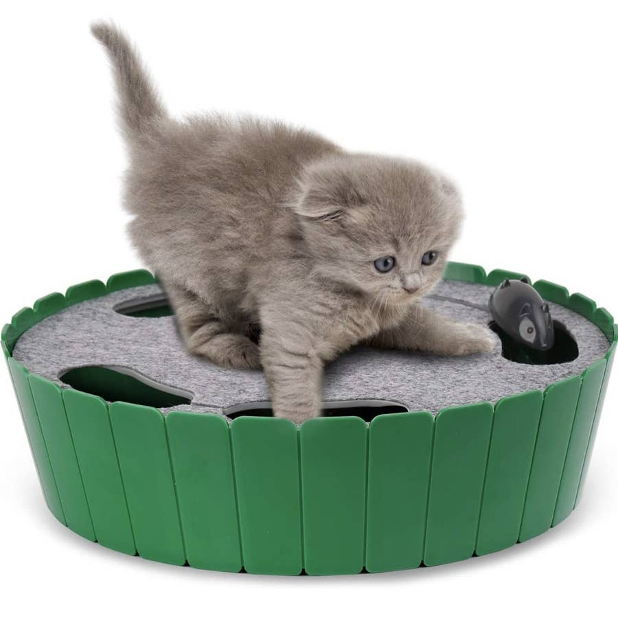 ワンちゃん猫ちゃんがめいっぱい楽しめる ペット用おもちゃ 15選