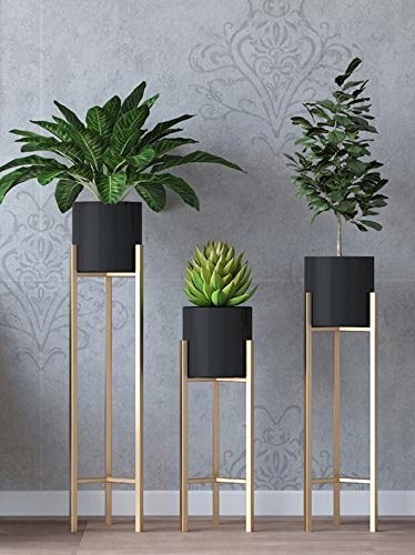 Three black planters with golden stands with plant pots in them. 