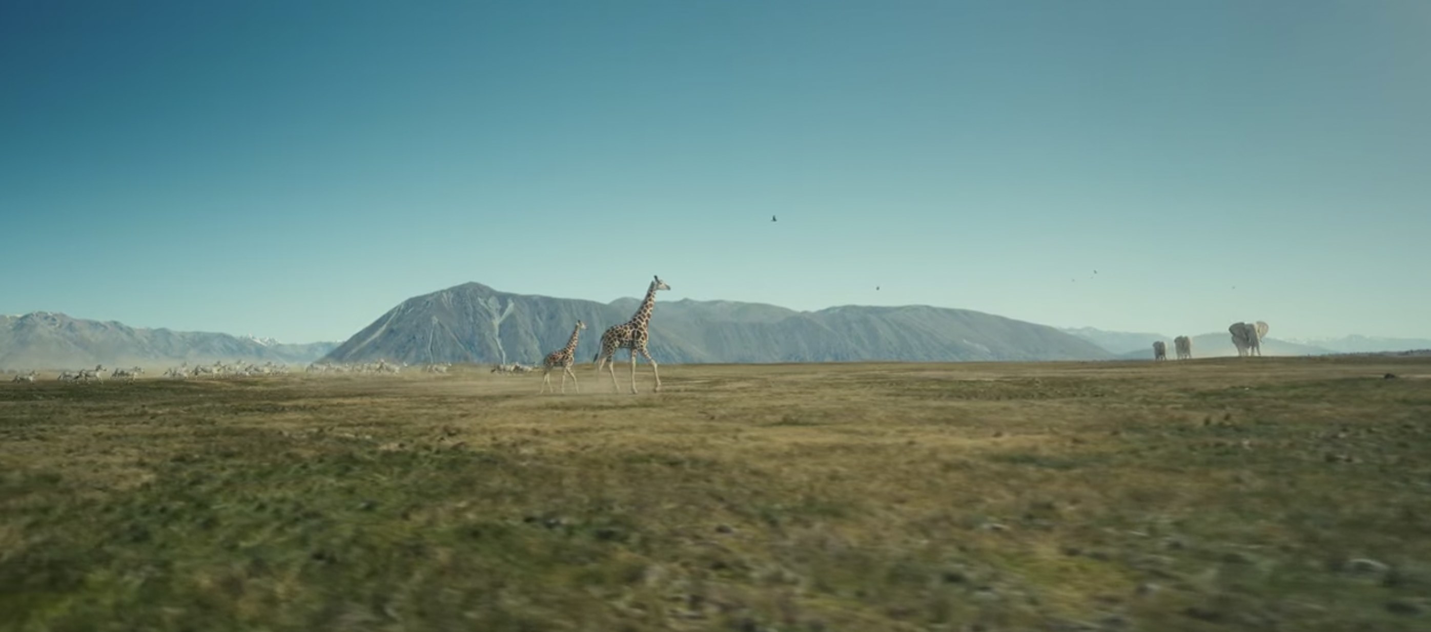 Grassy plain with mountains in the background with a group of running giraffes and a group of elephants 