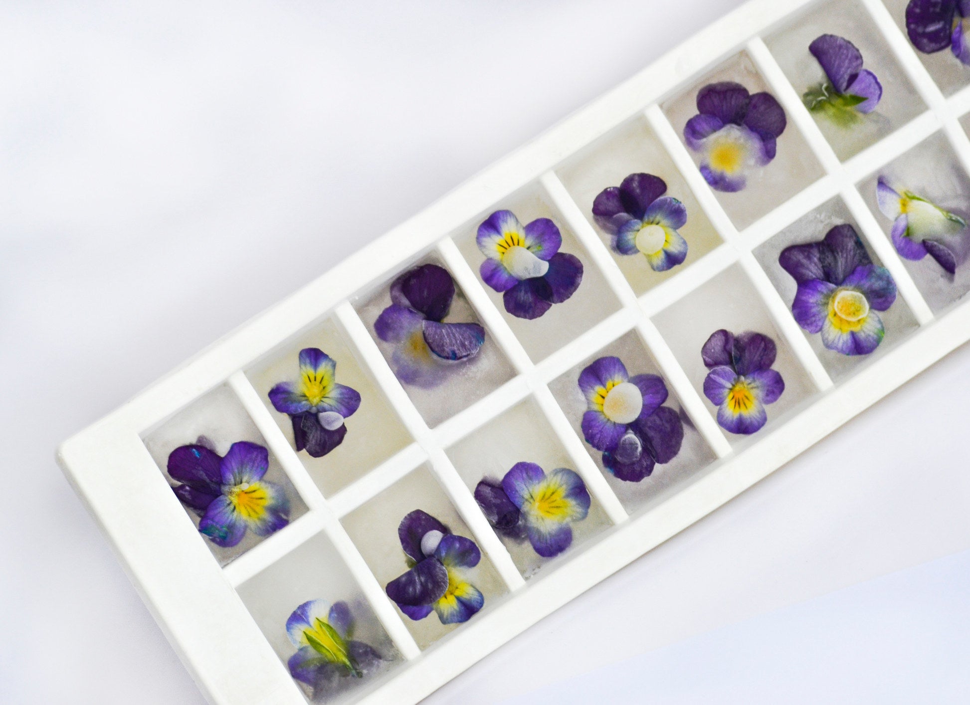 an icecube tray filled with frozen flowers 