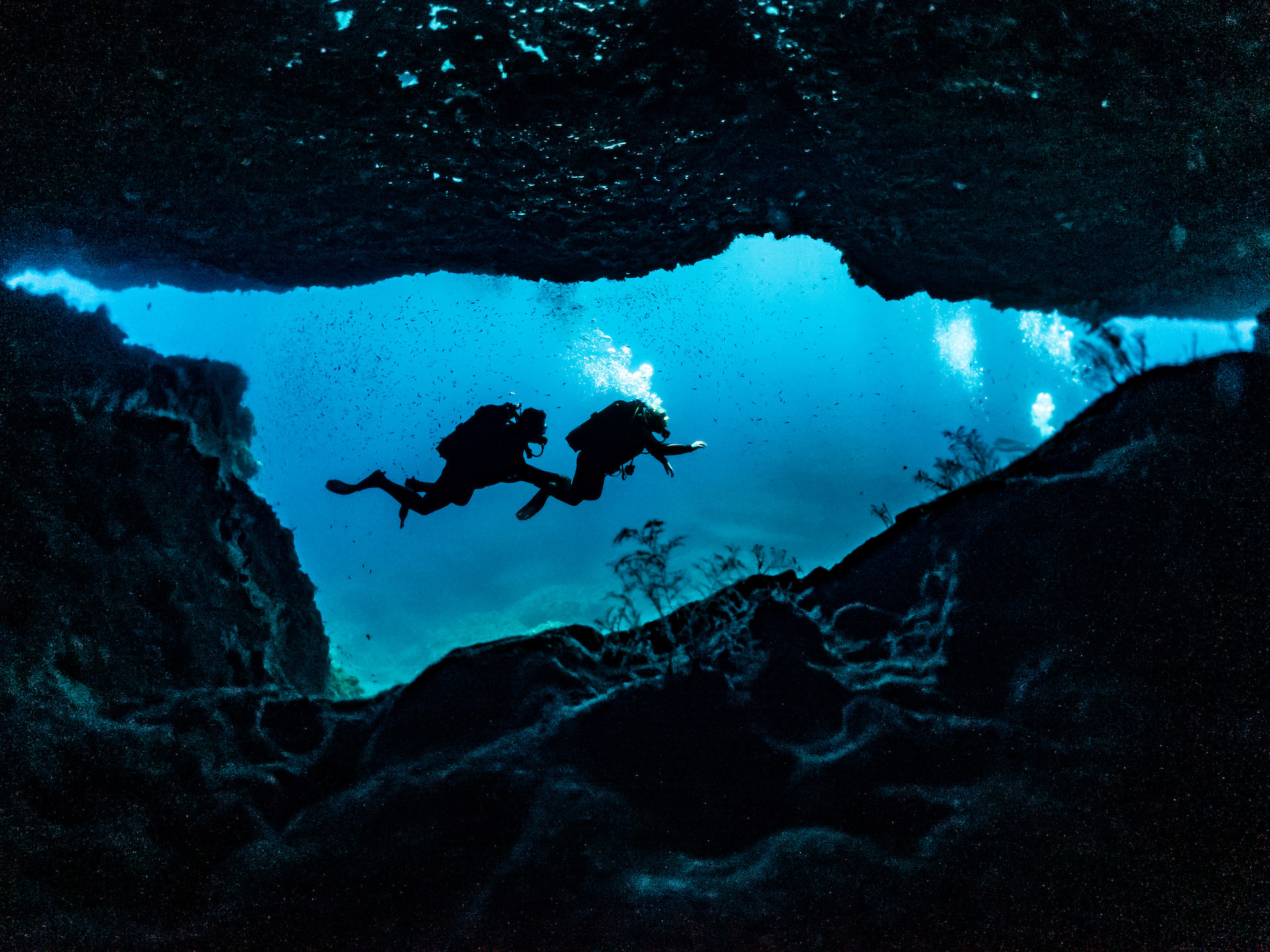 two people diving in an underwater cave