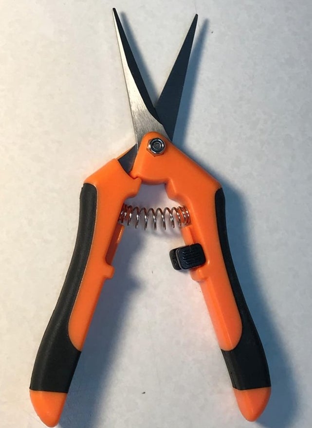 A reviewer&#x27;s pruning shear with an orange and black handle
