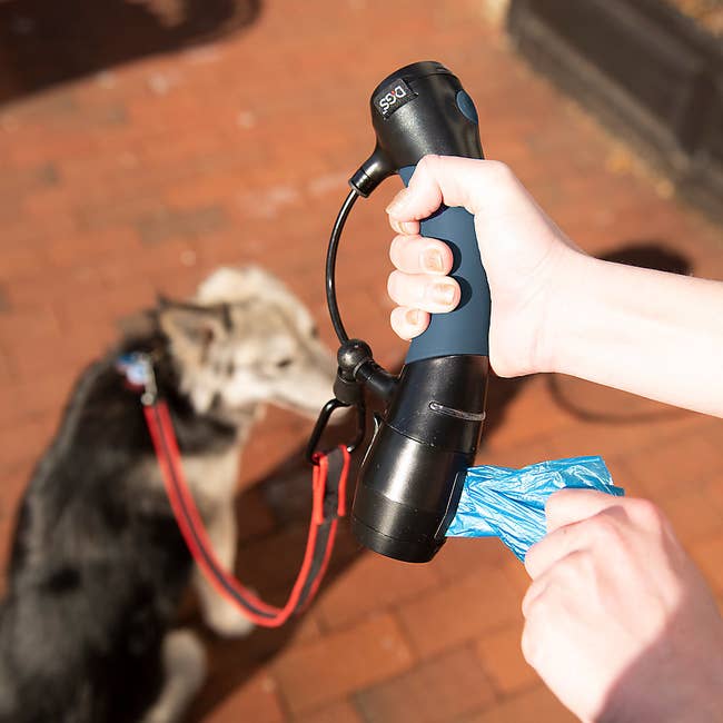 A model pulling poop bag from blue and black flashlight leash