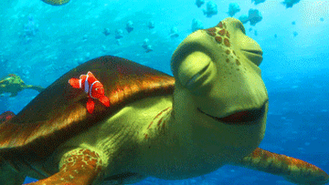 The turtle from finding nemo swimming with marvin 