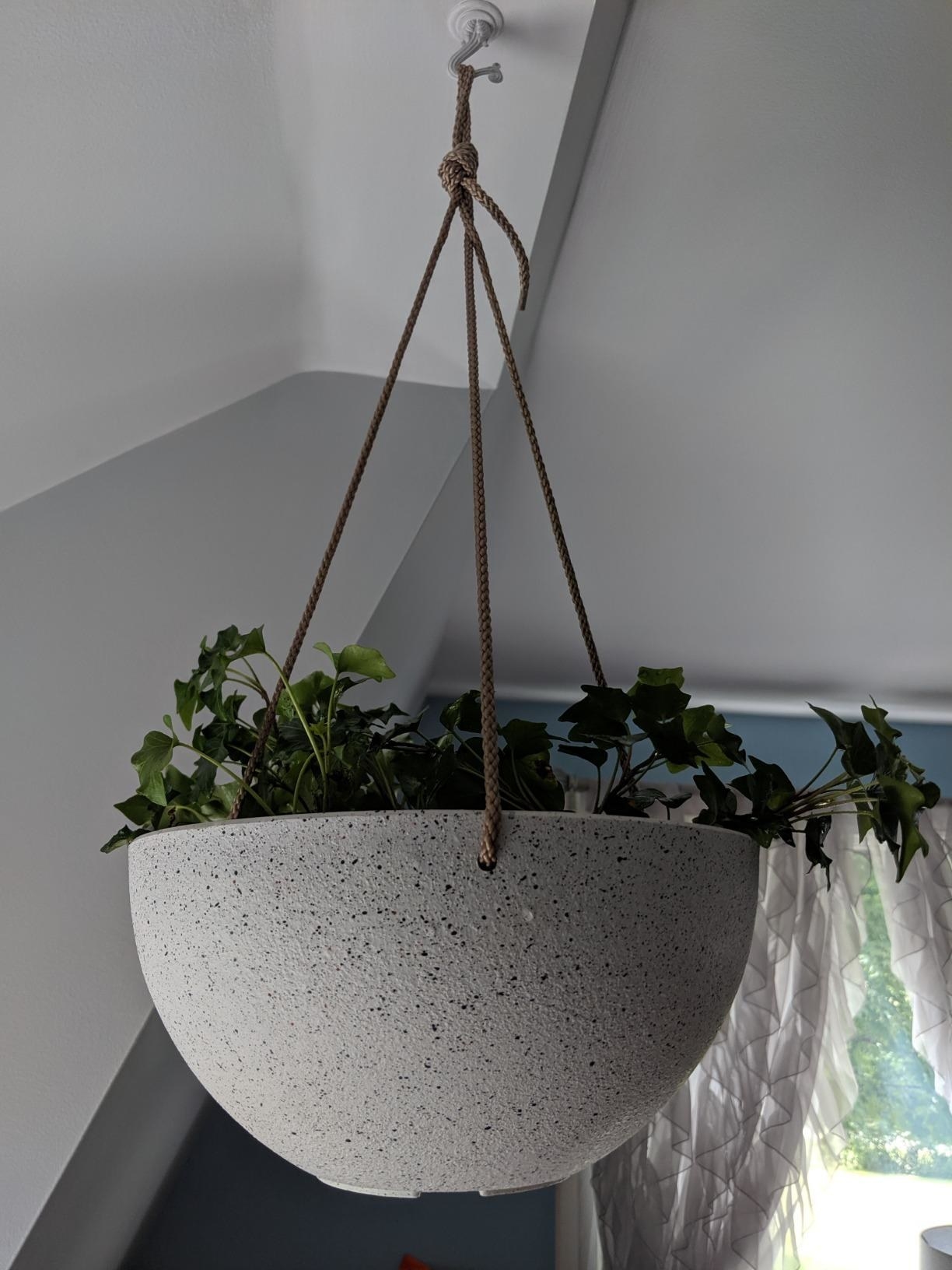 The half sphere planter installed from a ceiling 