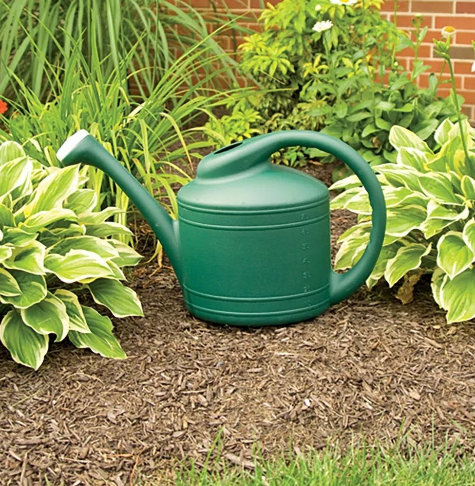 The green watering can