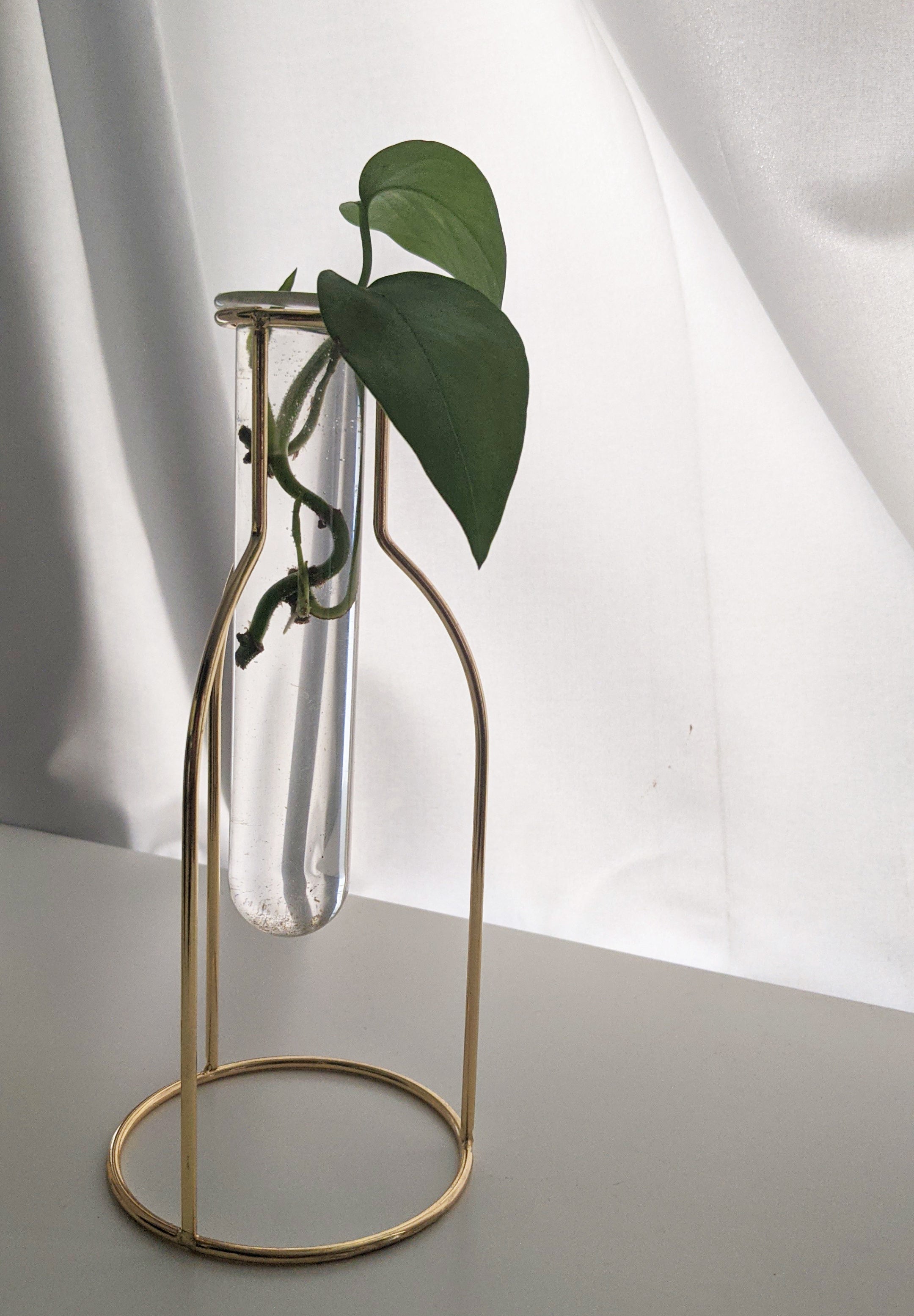 A small glass vial filled with water suspended from a metal holder with plant trimmings inside