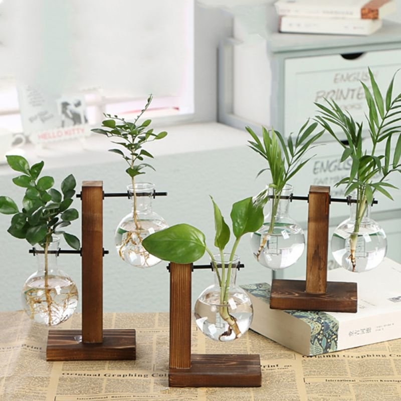 three vases with plants hanging on wooden stands
