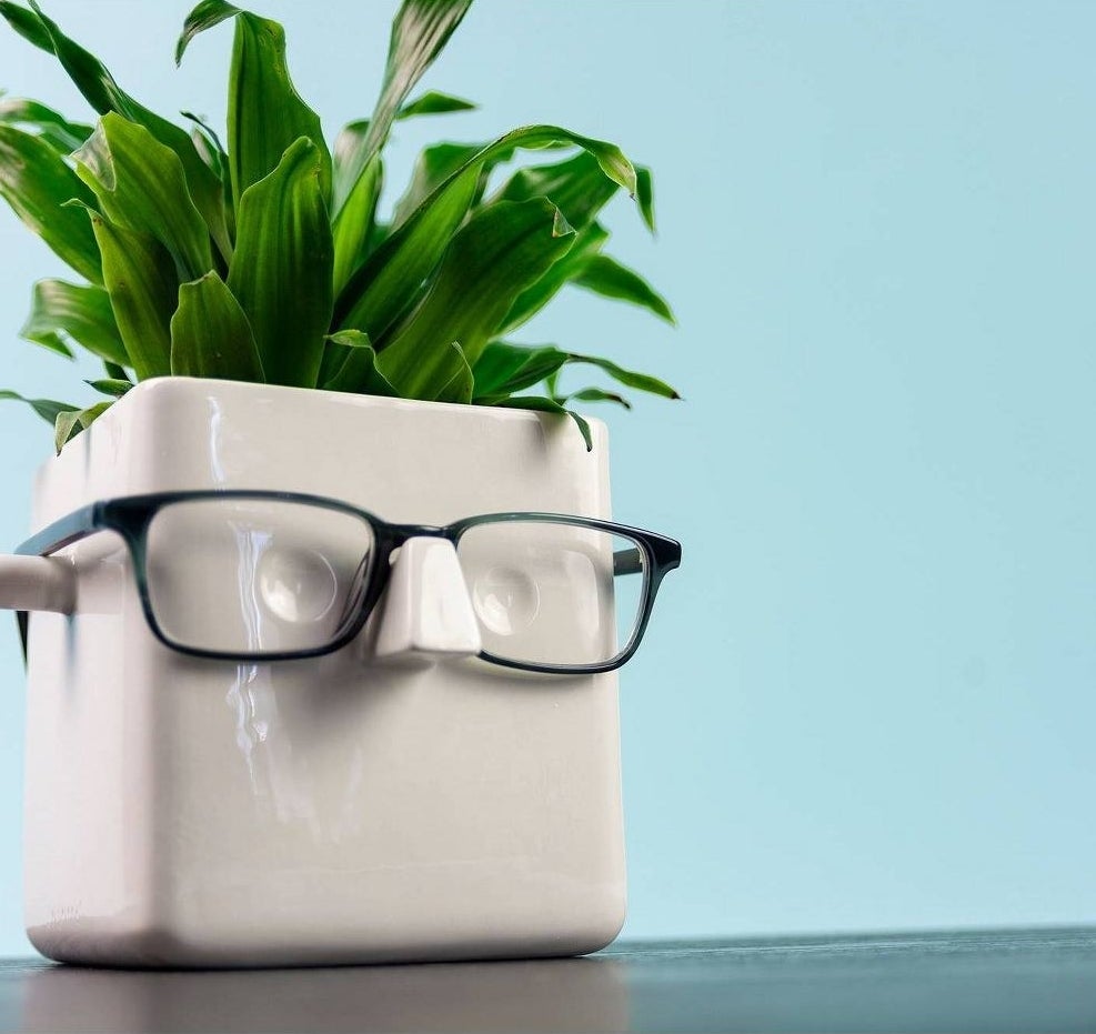 The plant holder with a plant inside and glasses on it.