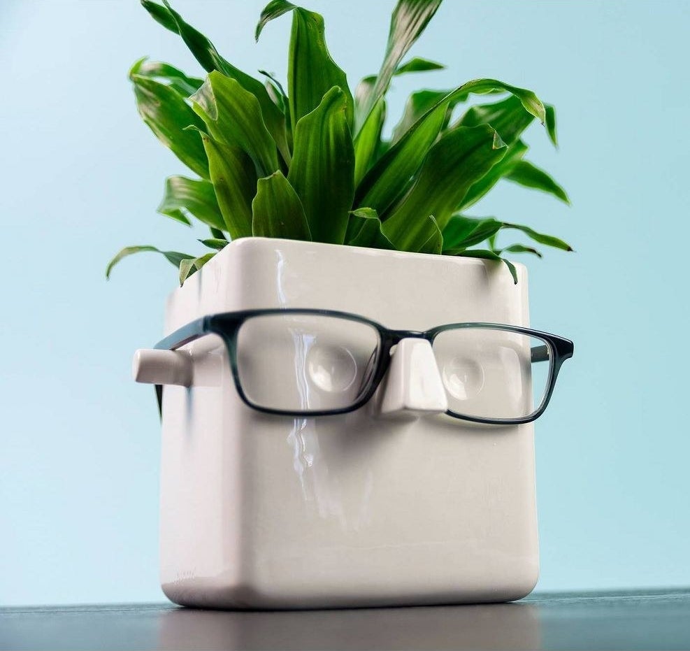 The plant holder with a plant inside and glasses on it.