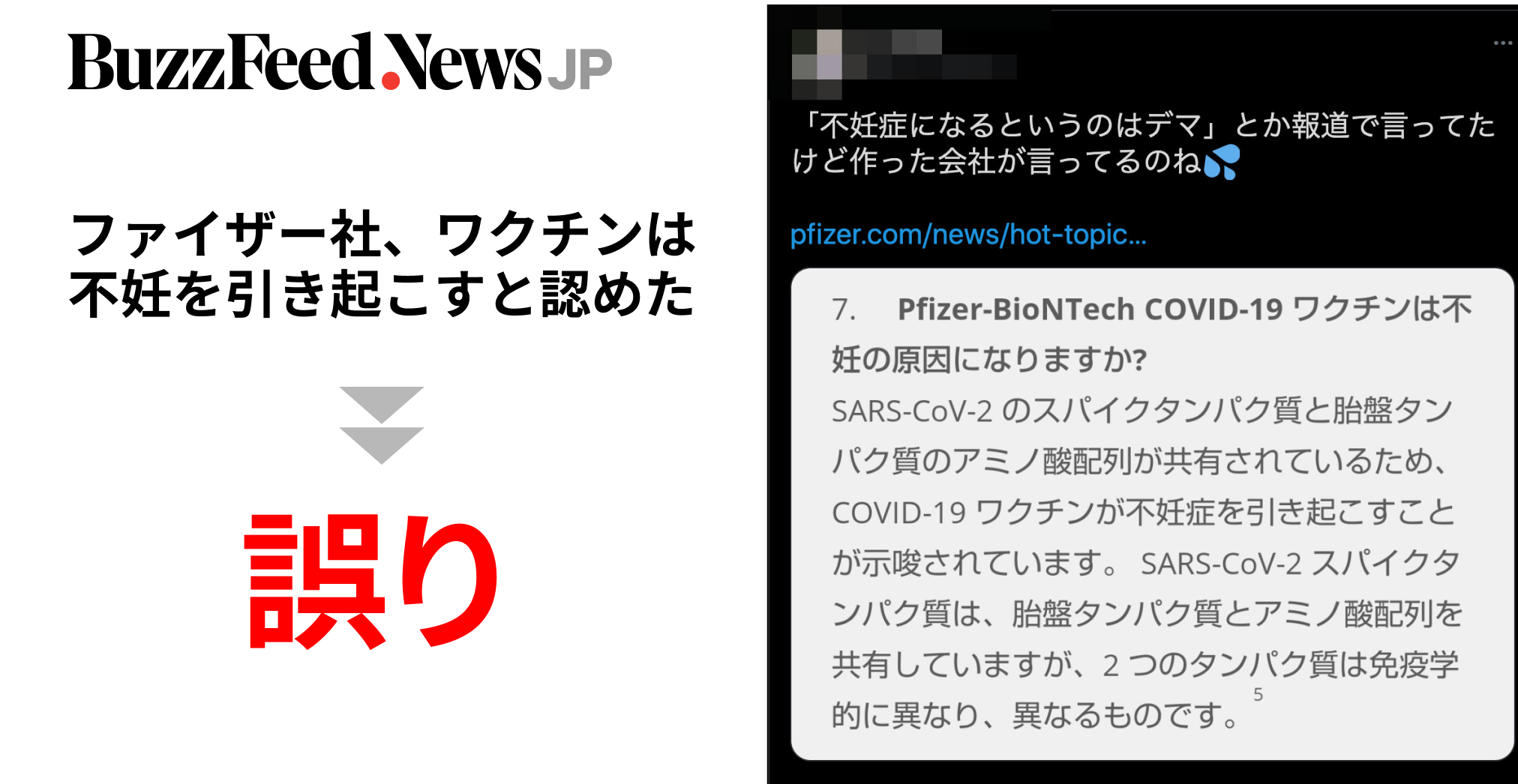 ファイザー社 ワクチンが不妊を引き起こすと公式に認めた は誤り サイトの切り取りが拡散