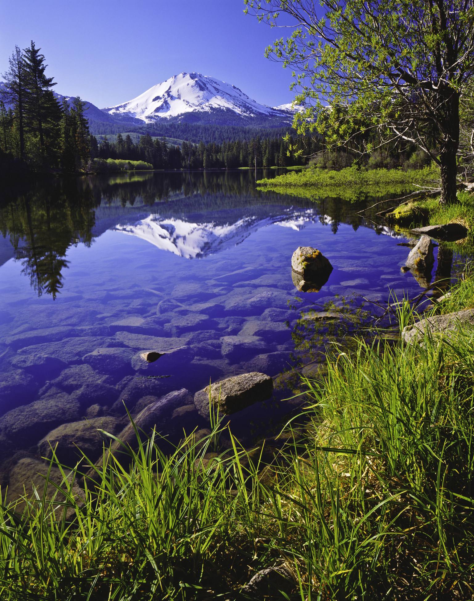 Springtime at Lassen Volcanic National Park.