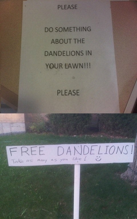 A neighbor tells someone to get rid of dandelions so they put up a sign that says free dandelions