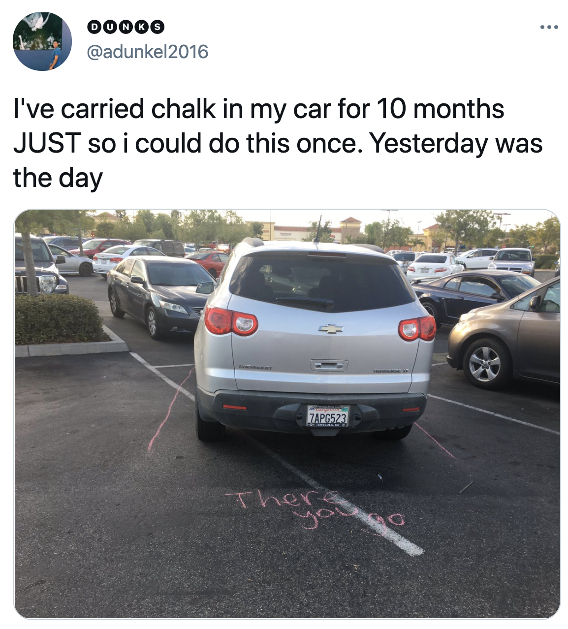 A person parked poorly