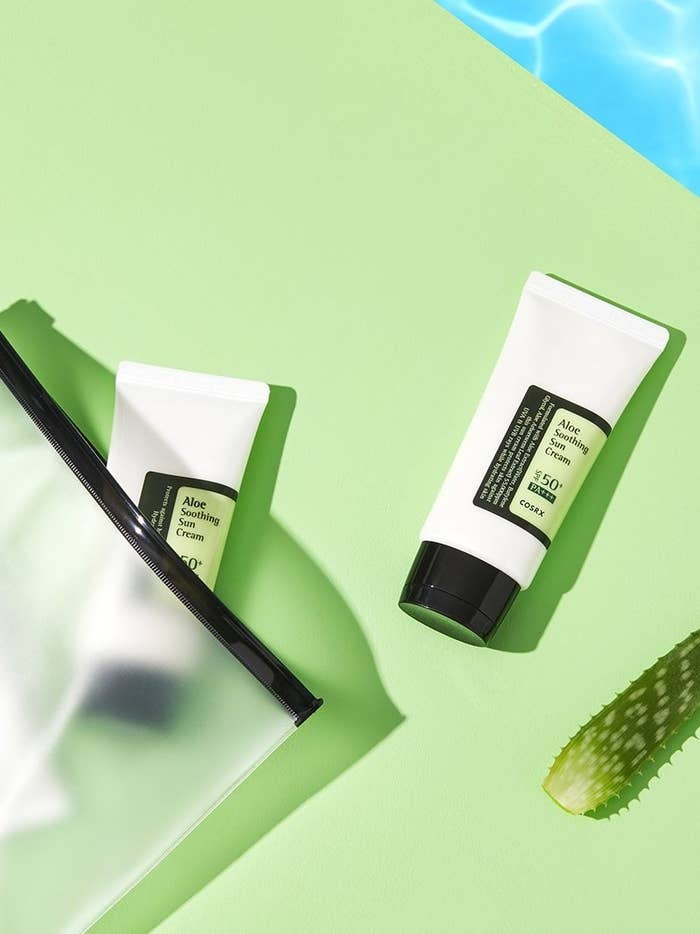 the tubes of sunscreen next to an aloe leaf